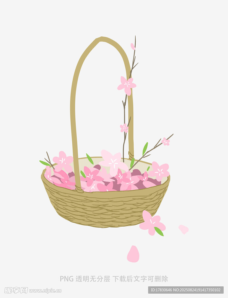 粉色花朵装点的精致花篮