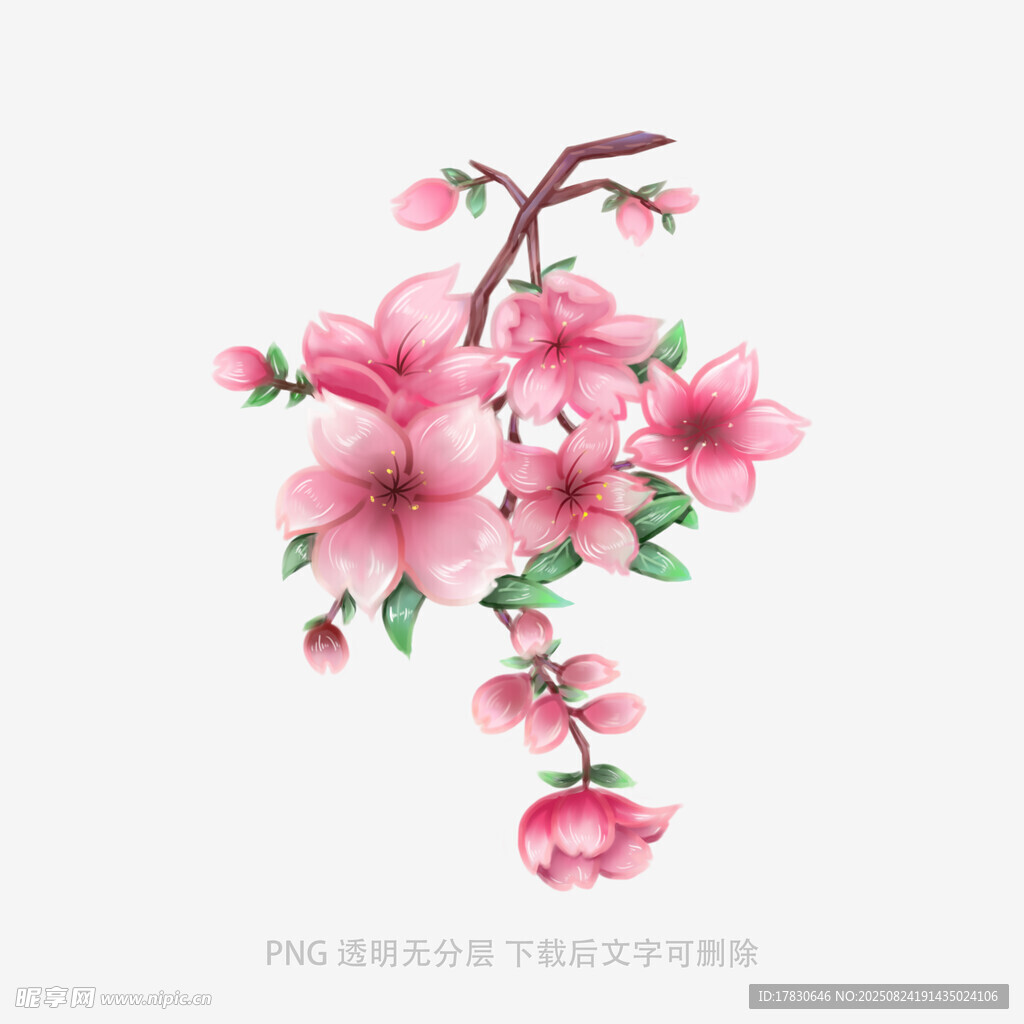 手绘粉色桃花枝插画