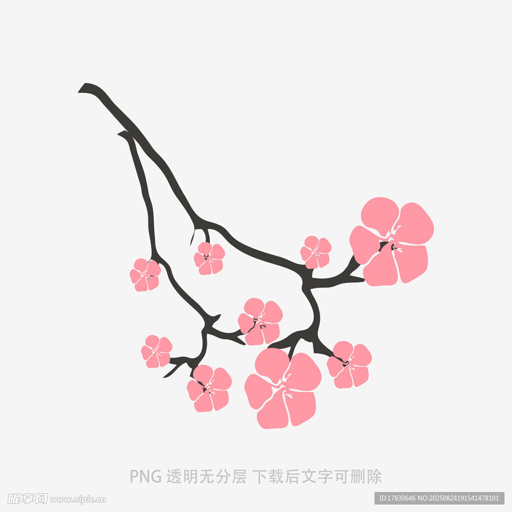 粉色樱花枝插画