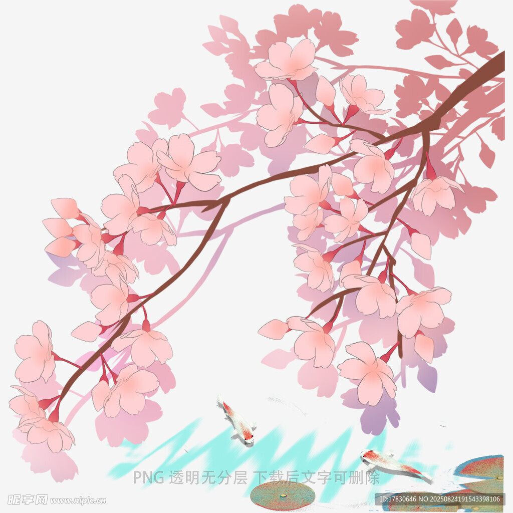 粉色樱花枝下的悠然景致