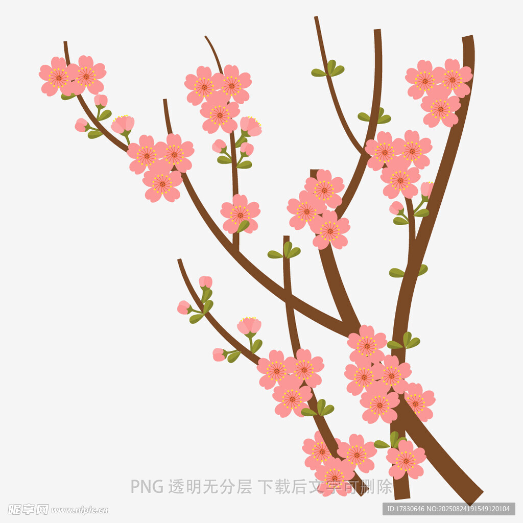 粉色桃花枝插画