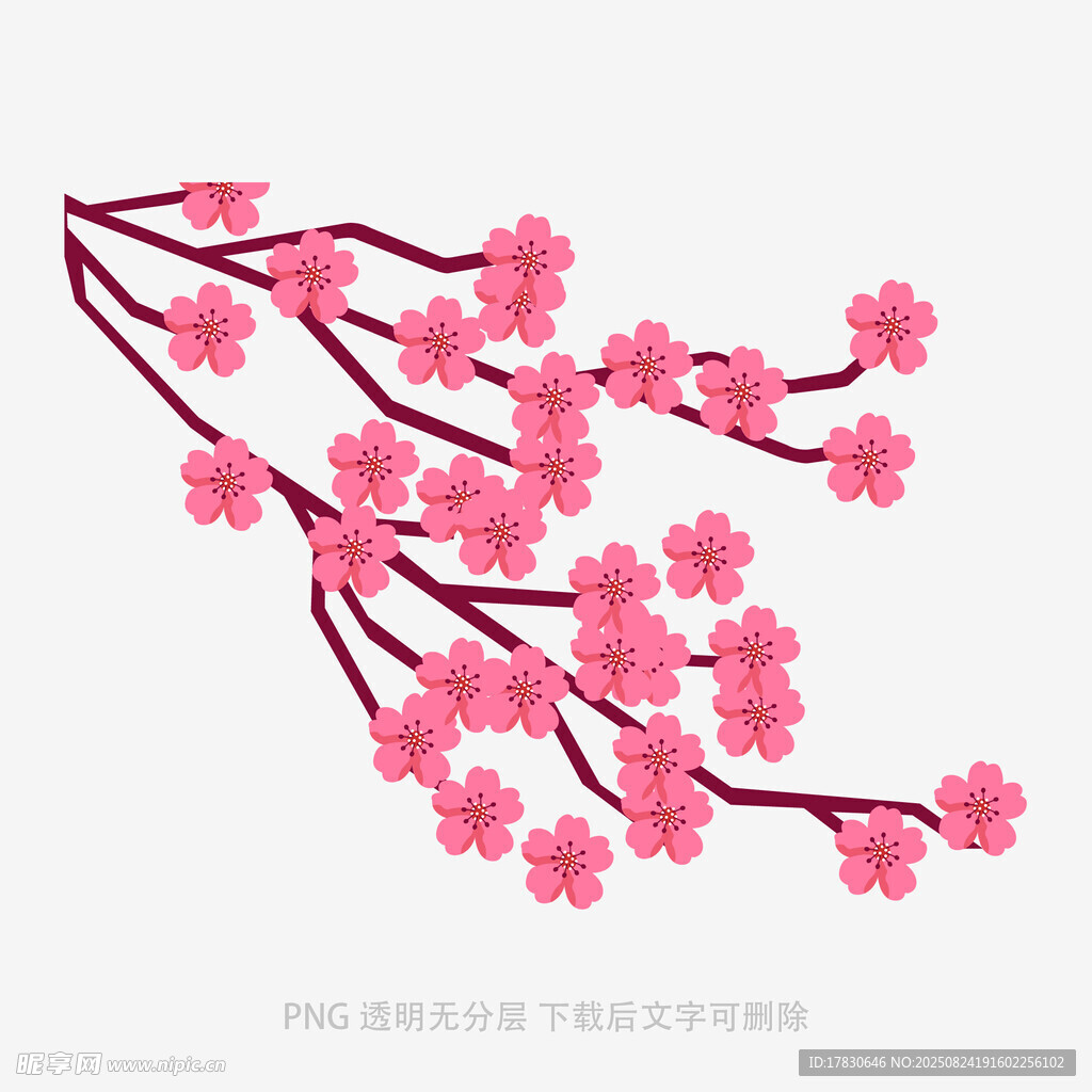 粉色樱花枝插画