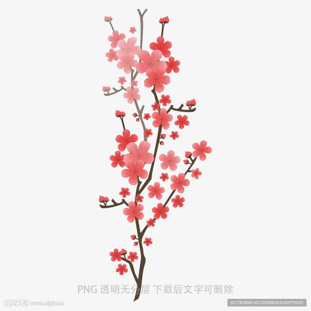 手绘一枝盛开的粉色梅花