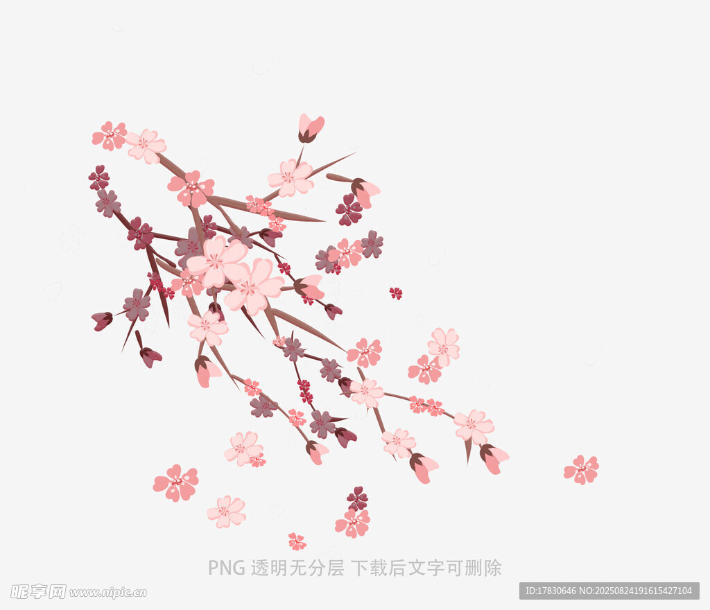 粉色樱花枝插画