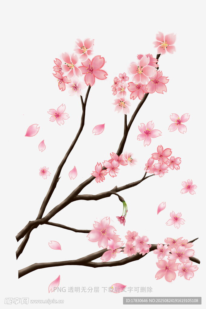 花朵