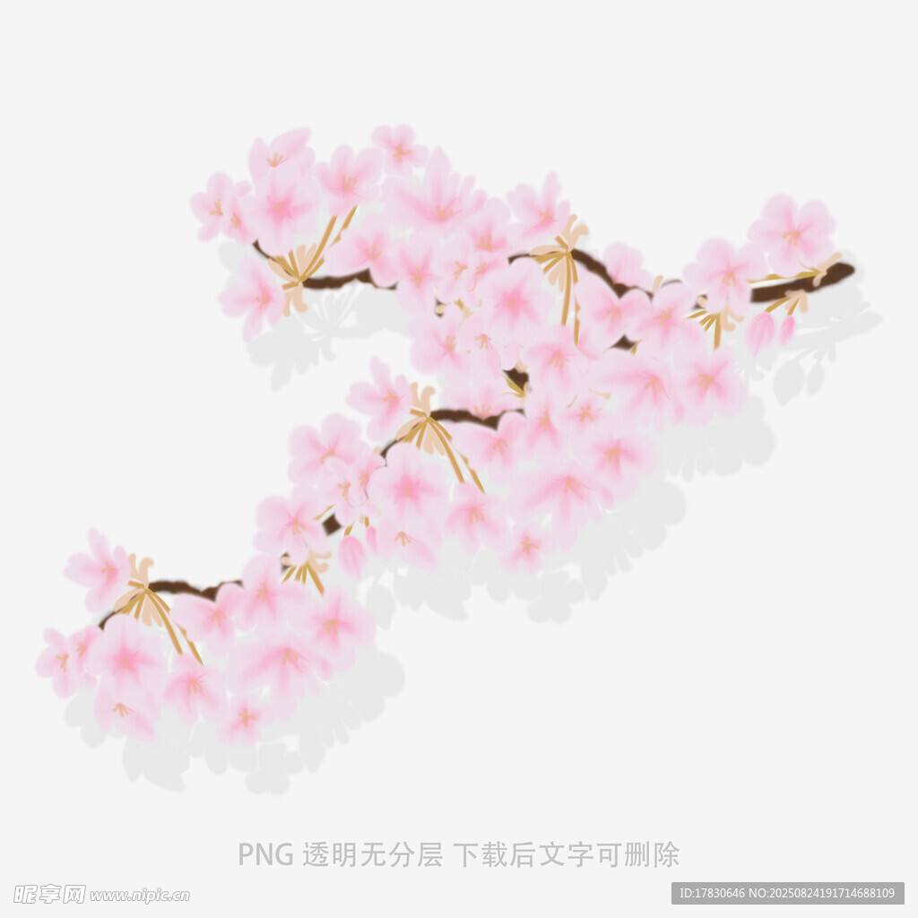 唯美粉色樱花枝条插画