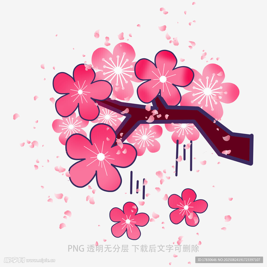 粉色樱花树枝插画