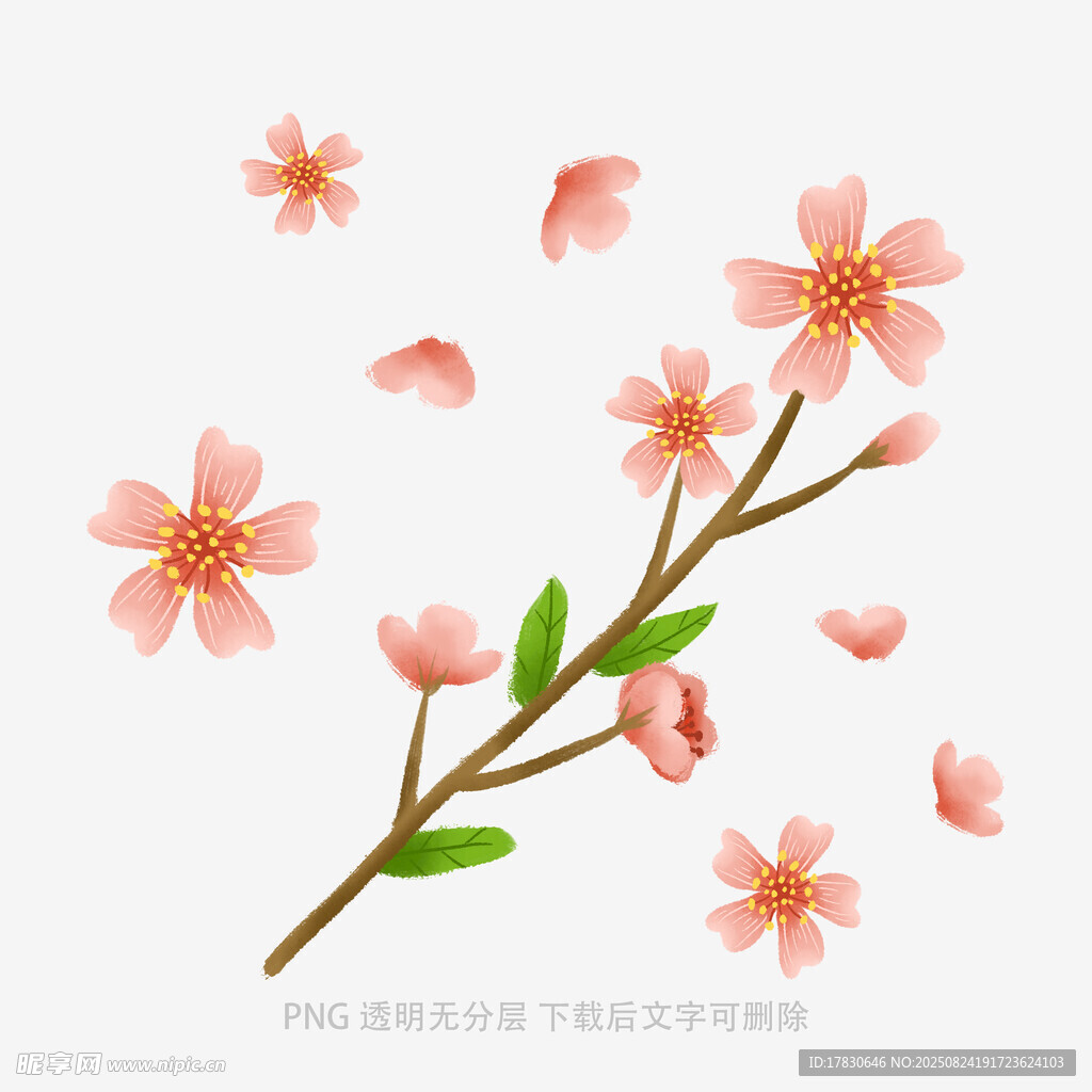花朵
