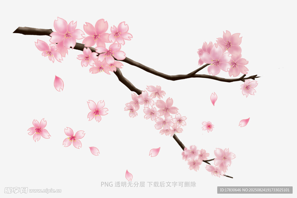 花朵