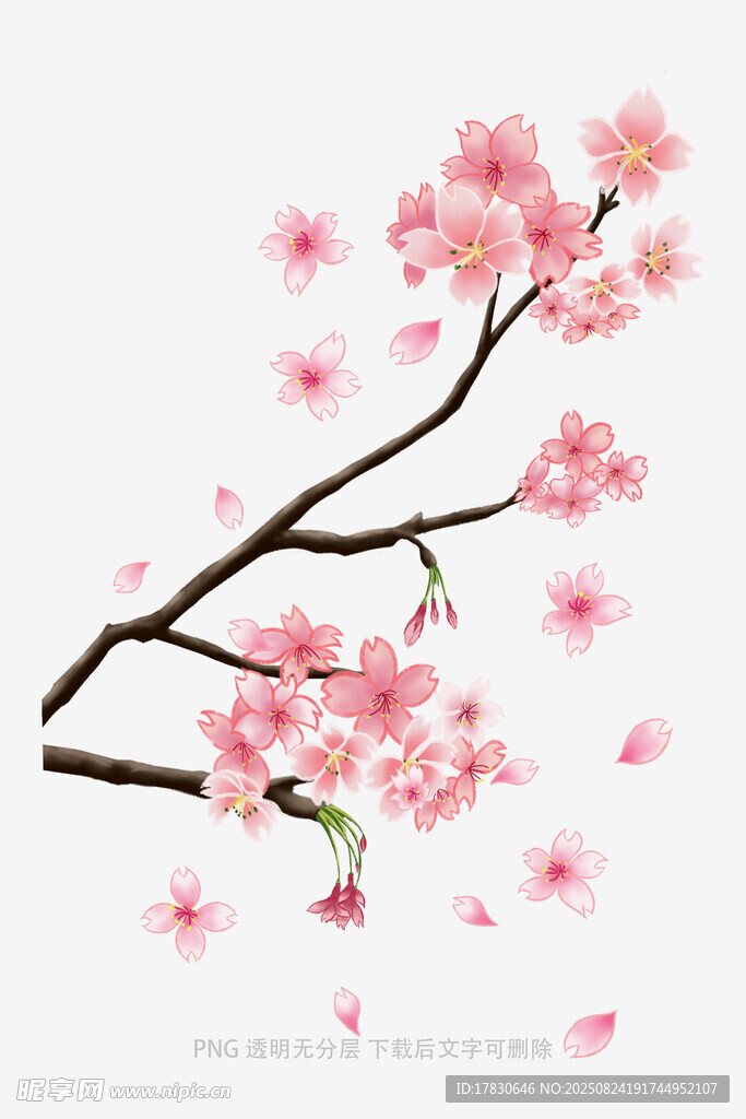 花朵