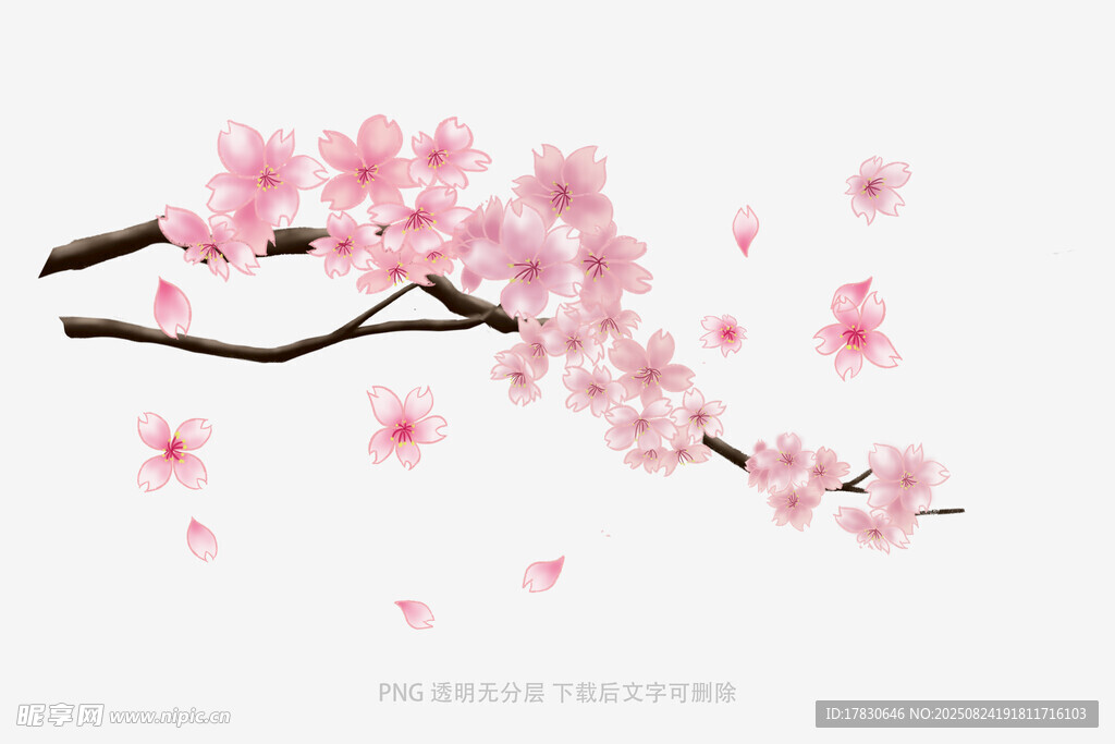 花朵