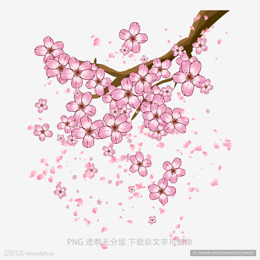 花朵