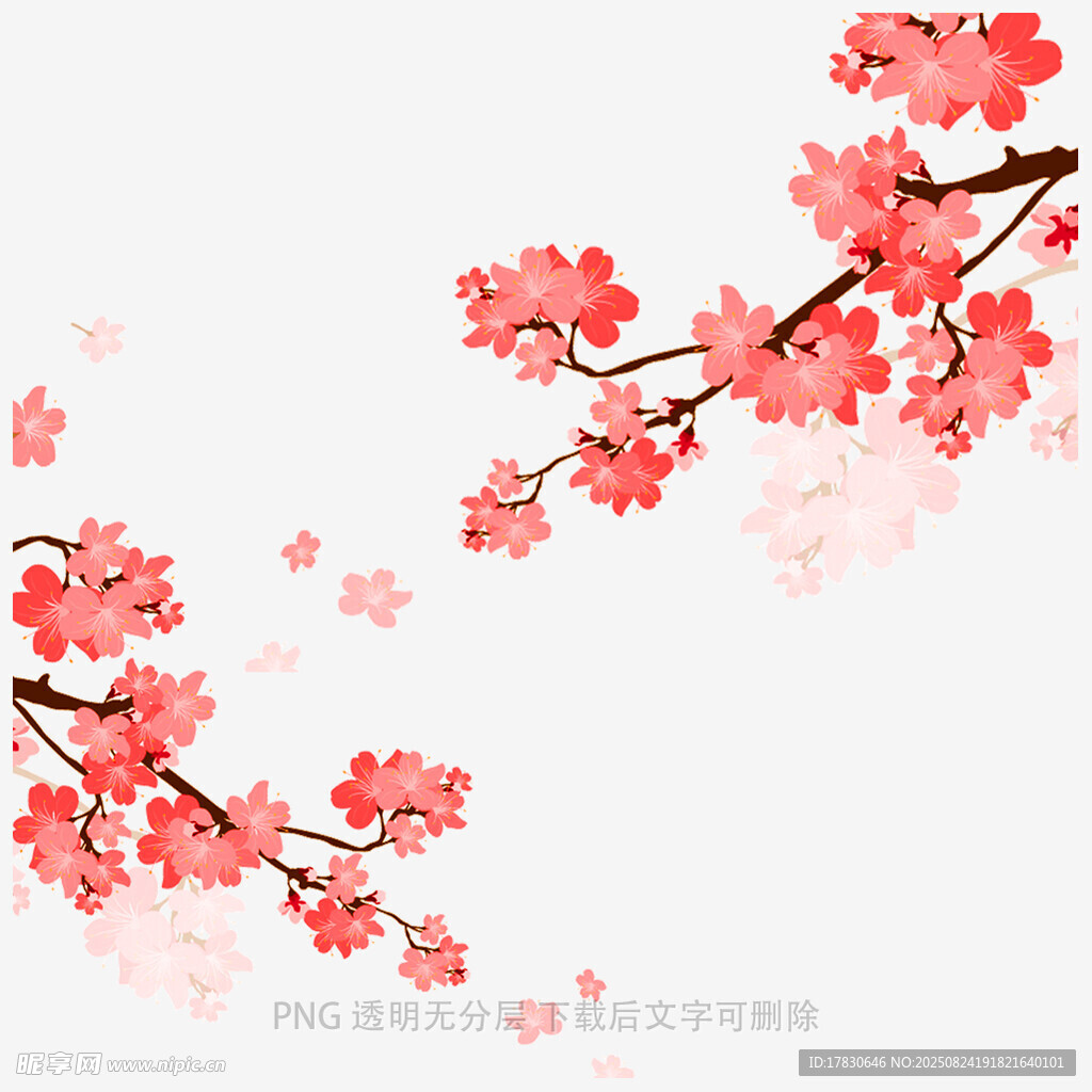 花朵