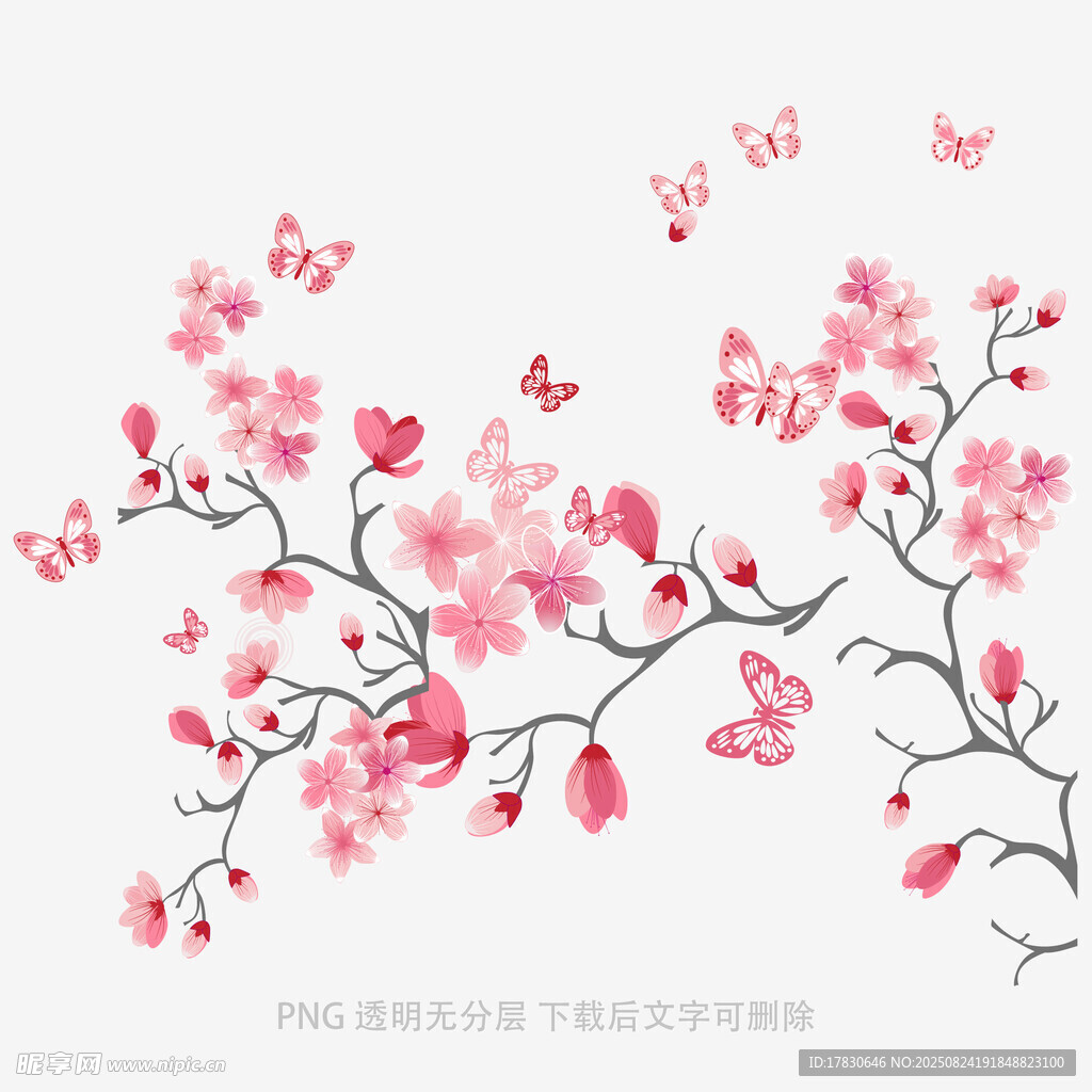 粉色樱花枝与飞舞蝴蝶