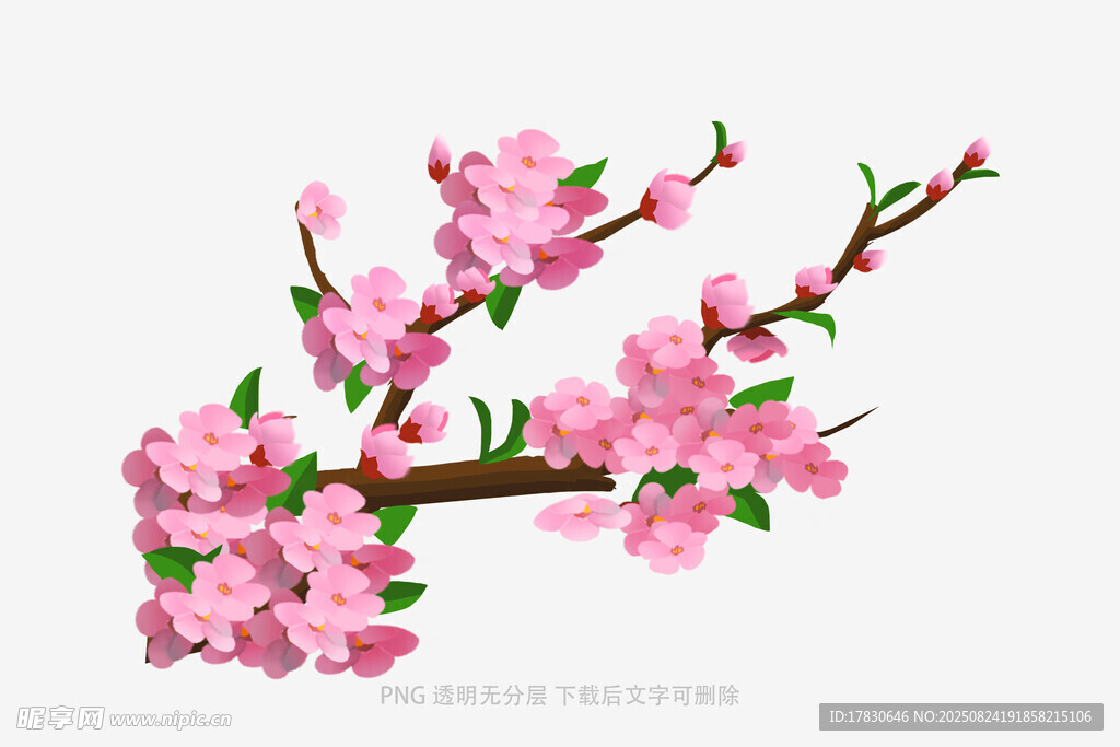 粉色桃花枝插画