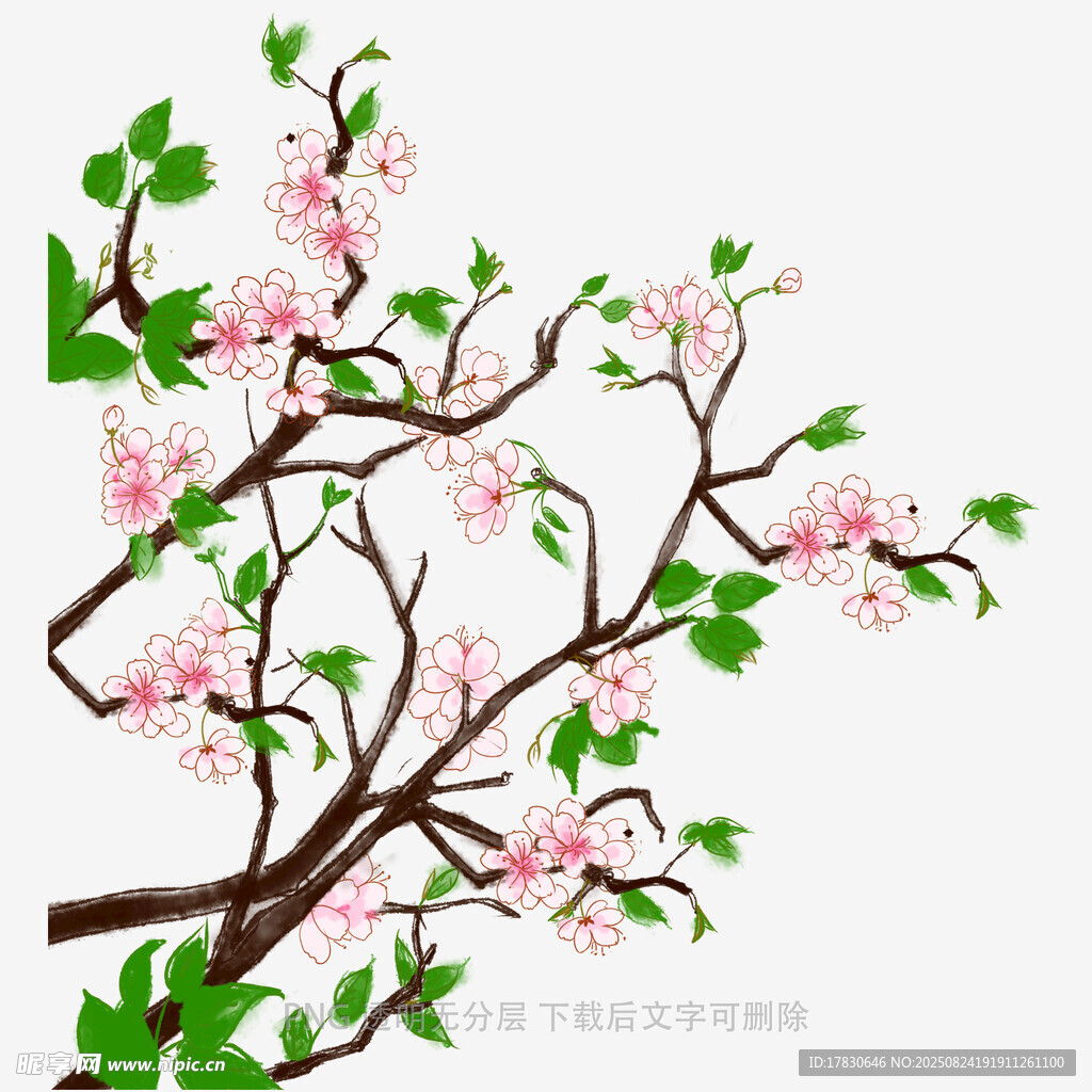 枝头绽放的粉嫩桃花