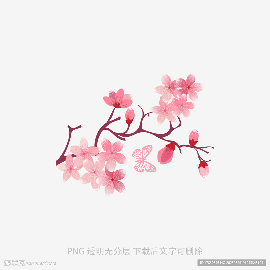 粉色樱花枝插画