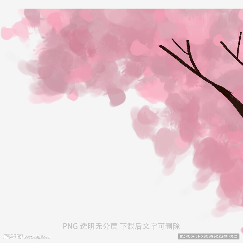 粉色樱花树枝插画