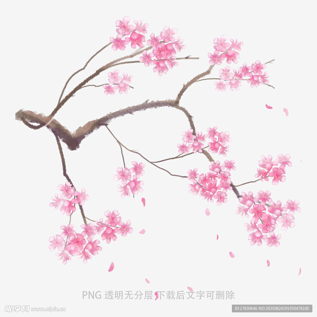 花朵