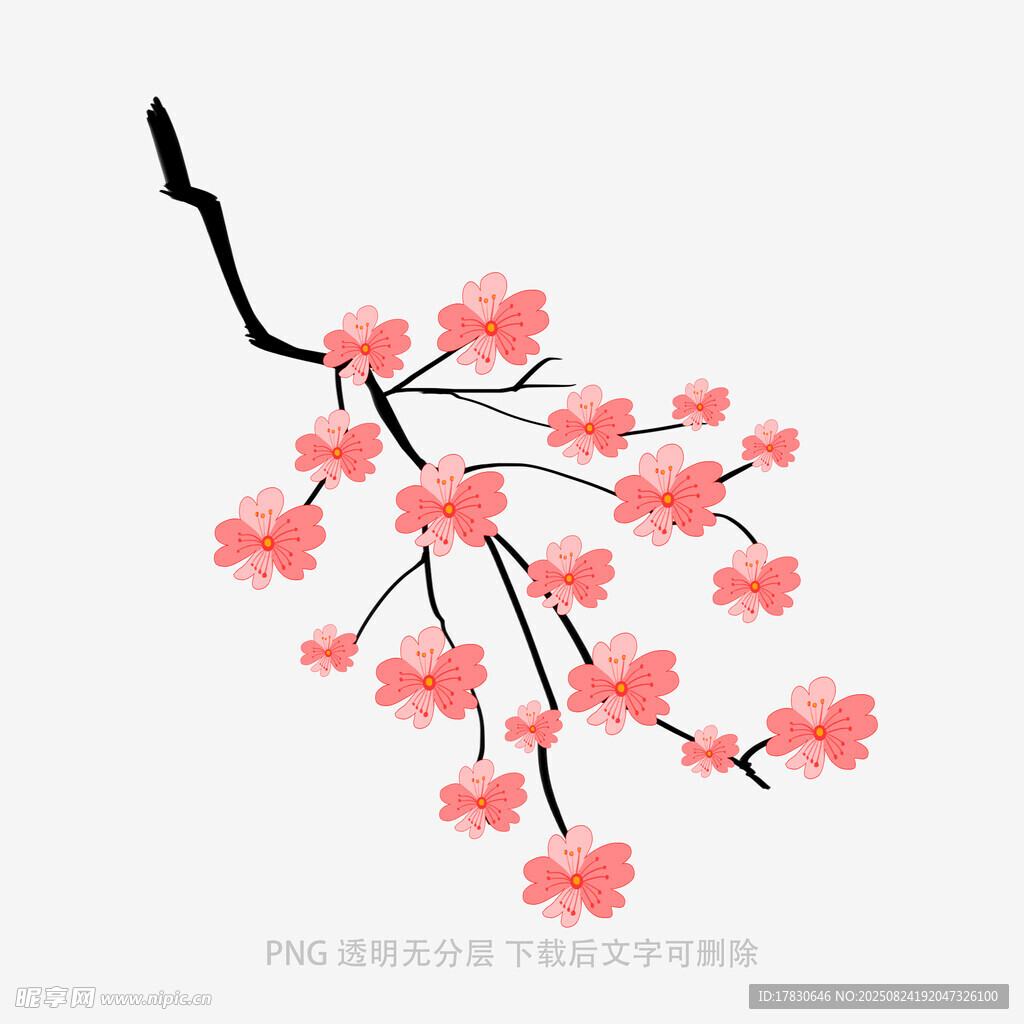 粉色樱花枝插画
