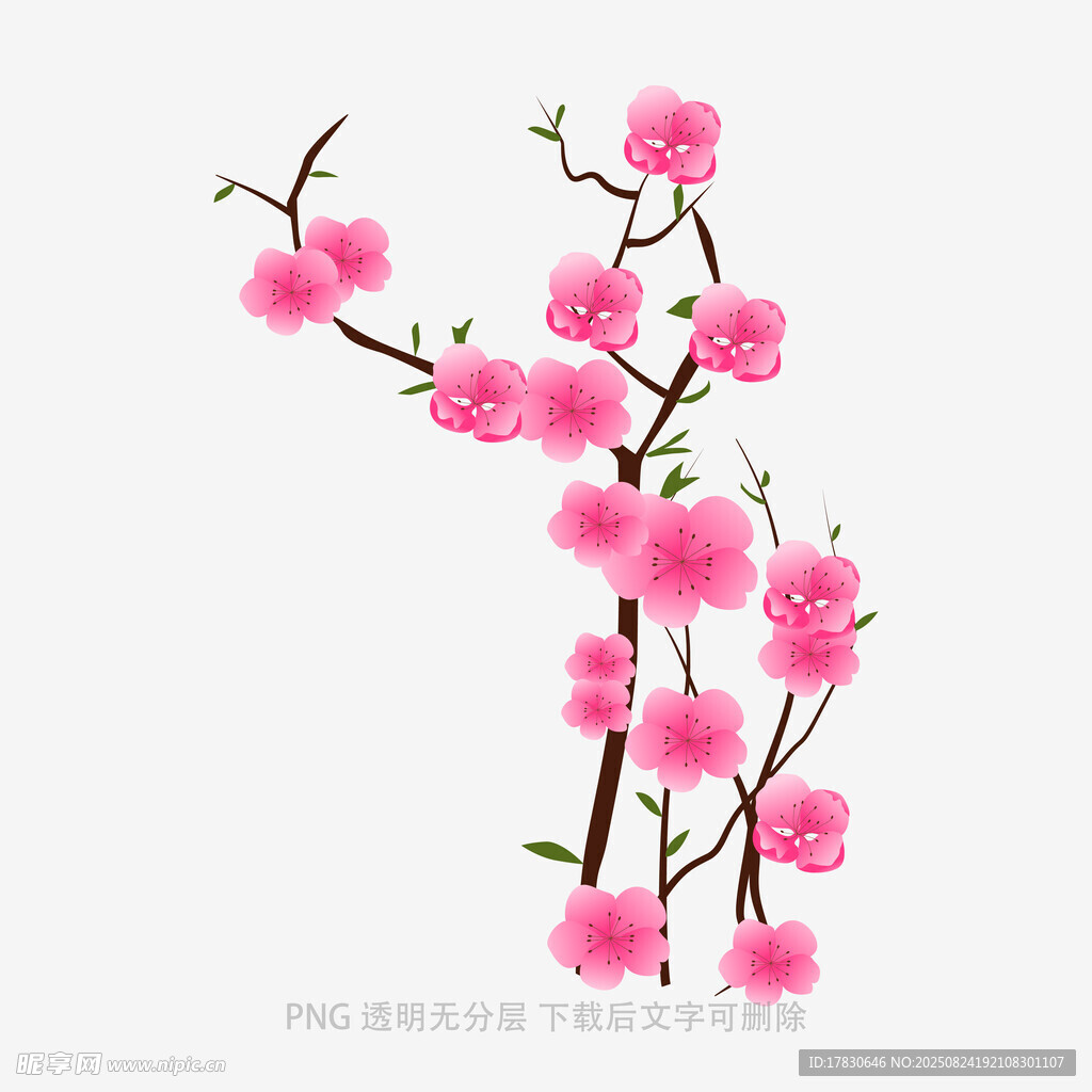 粉色桃花枝插画