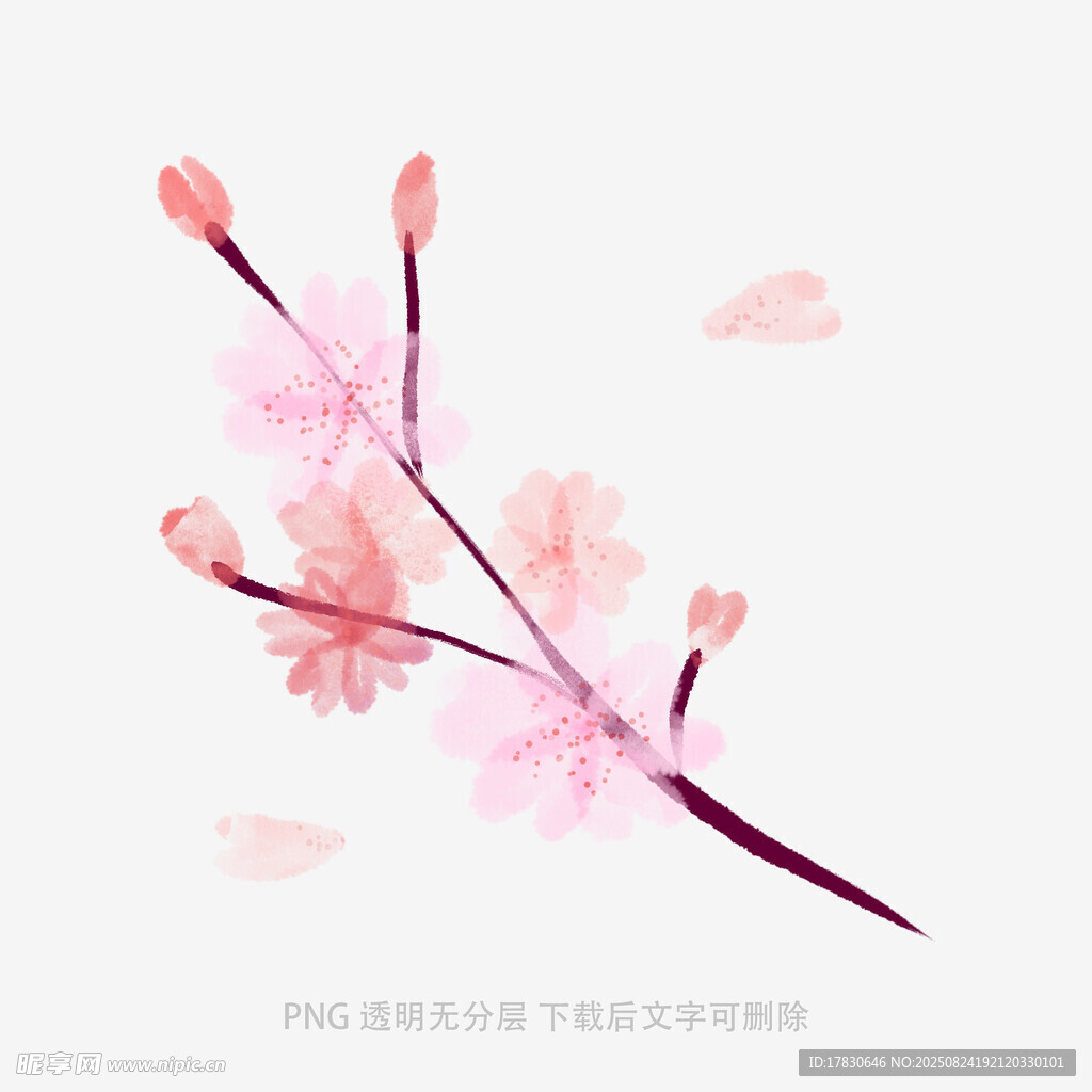 花朵