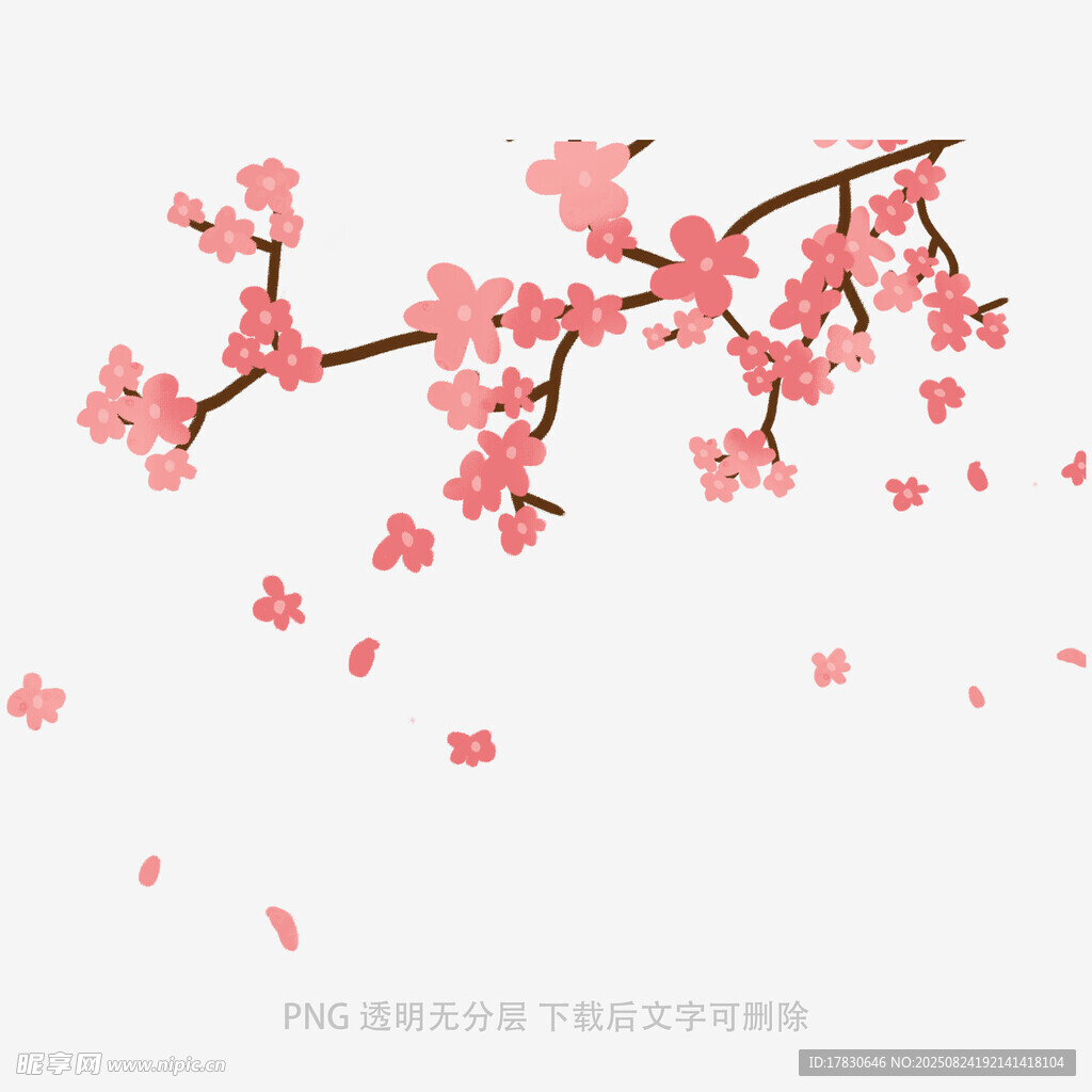 花朵