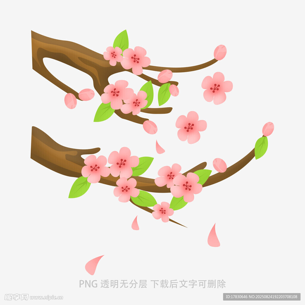 枝头绽放的粉嫩桃花