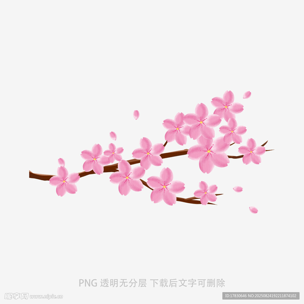 花朵