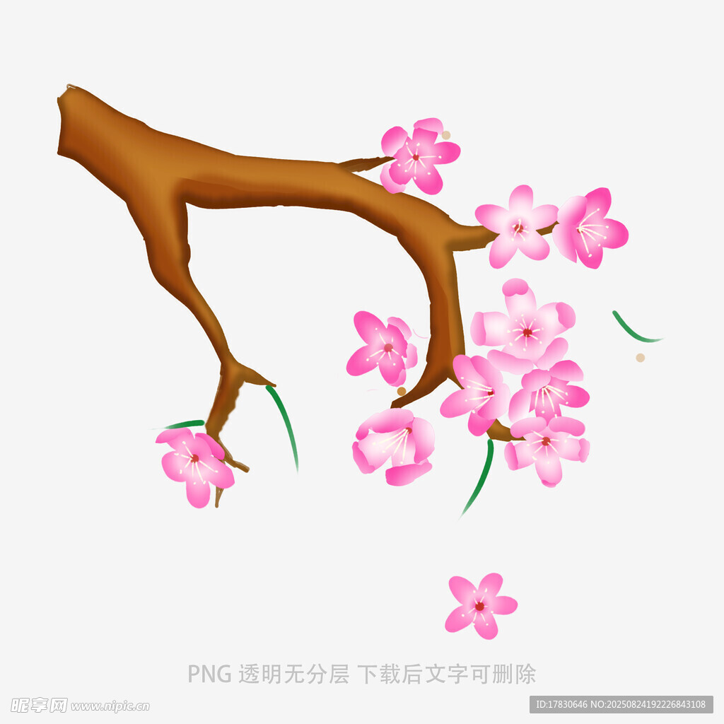 粉色桃花树枝插画