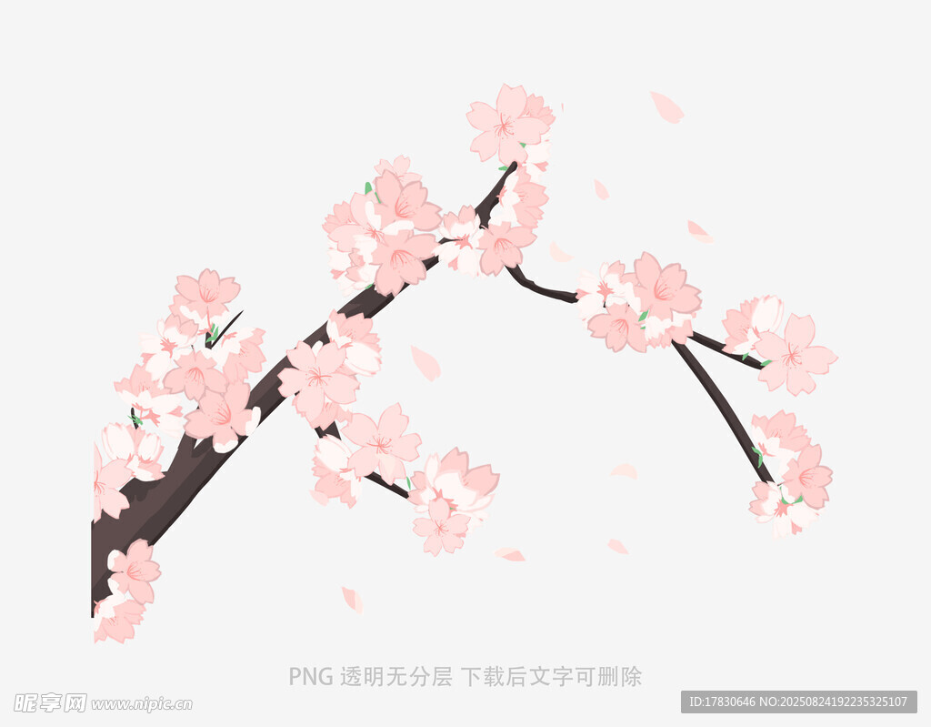 花朵