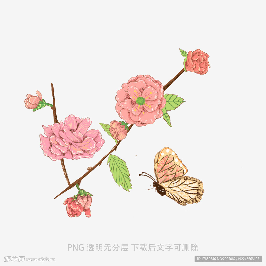 粉色桃花与蝴蝶插画