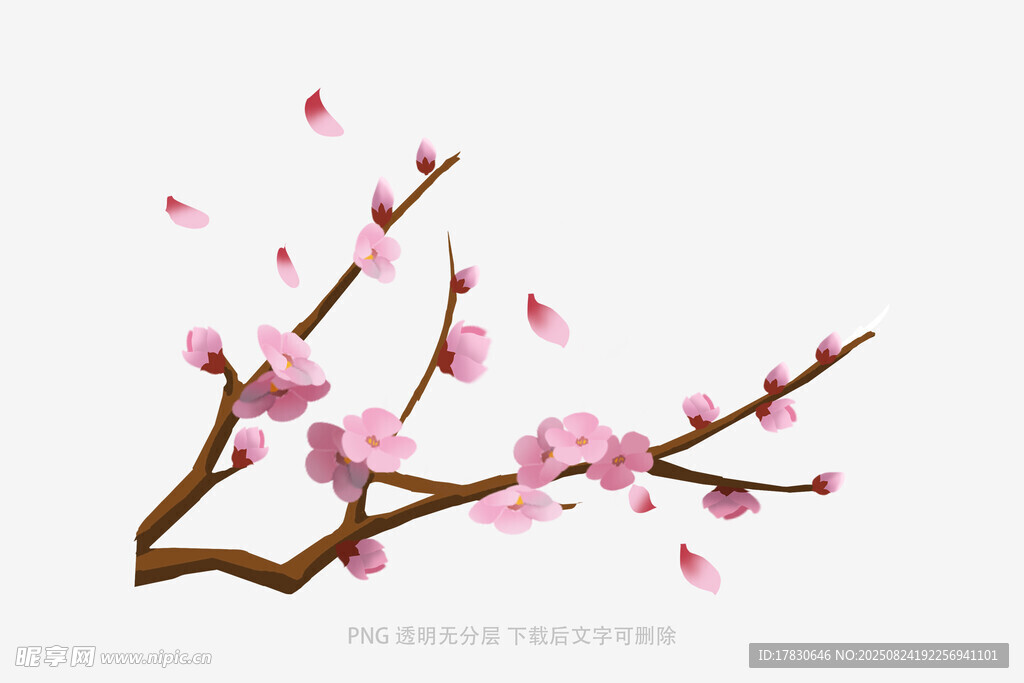 花朵