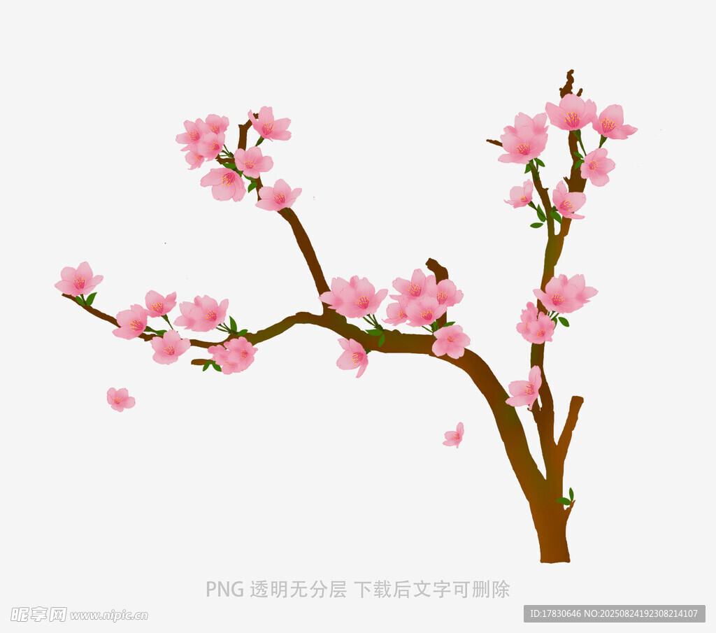 粉色桃花枝插画