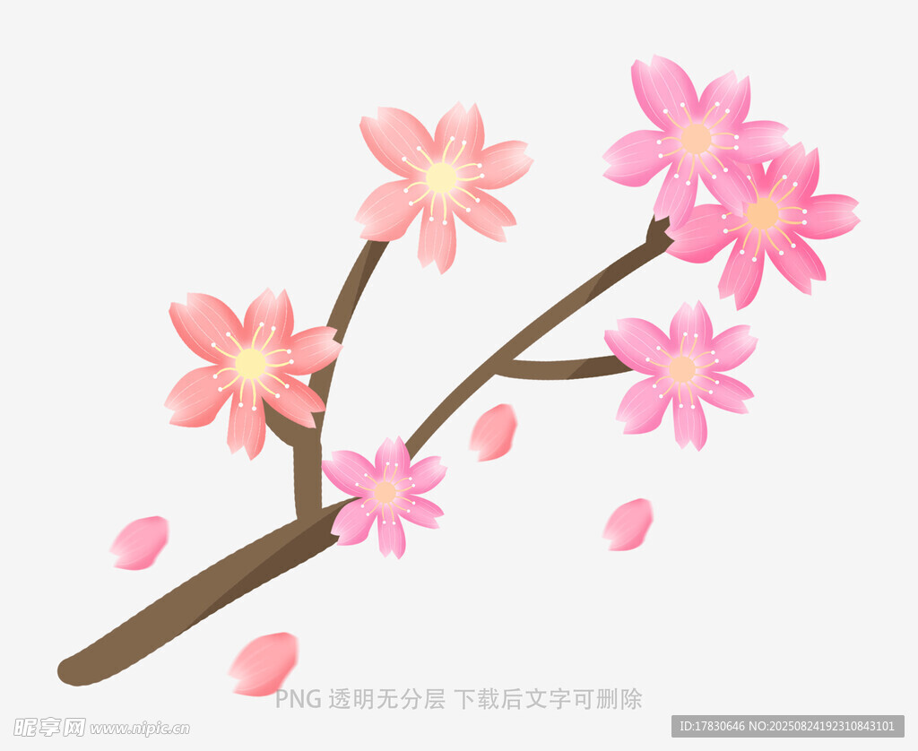 花朵
