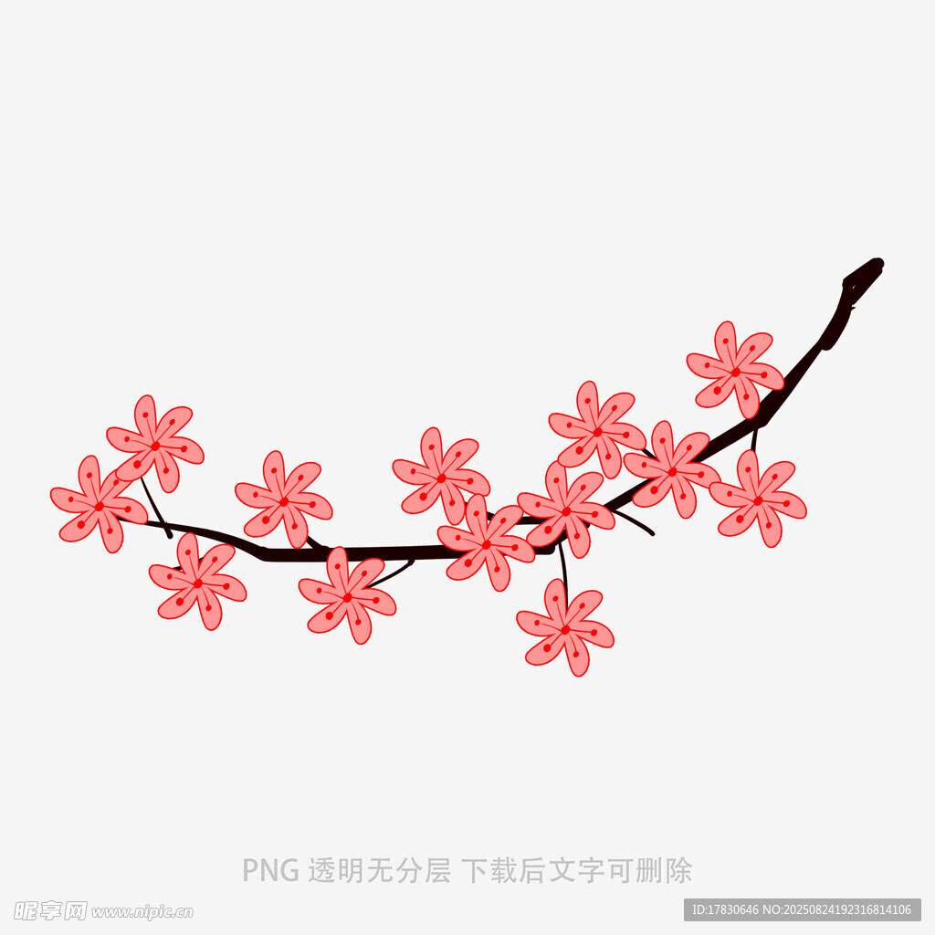 手绘粉色樱花枝条插画