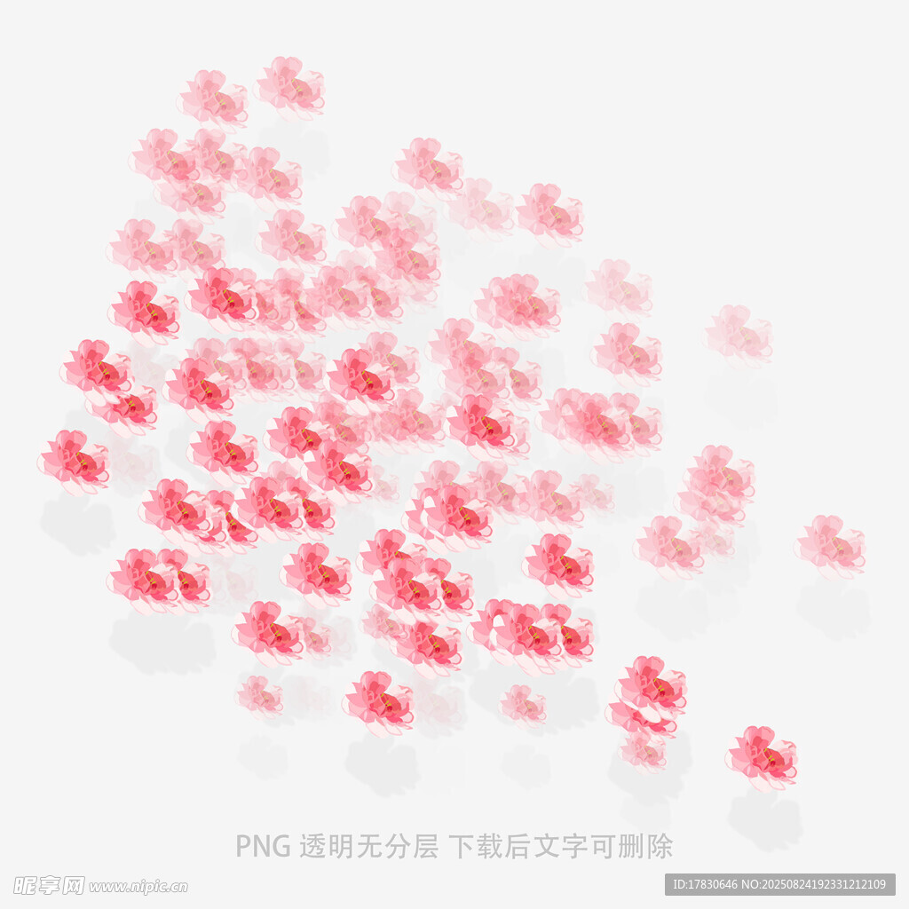 飘落的粉色花瓣美景