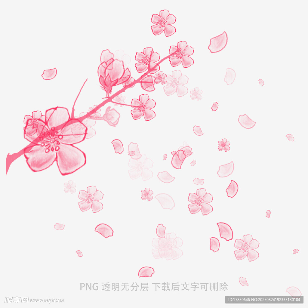 粉色樱花蝴蝶唯美插画