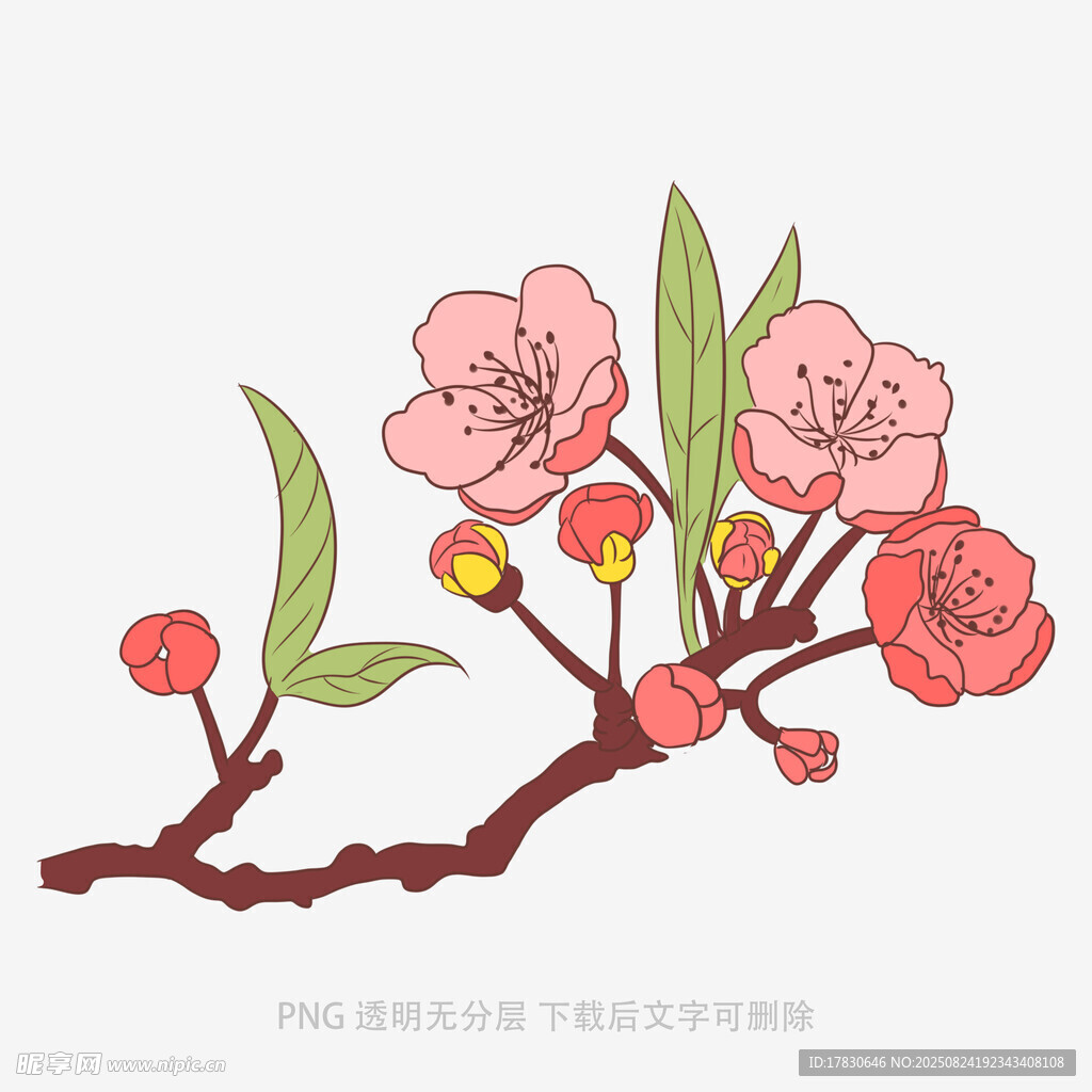 手绘粉色桃花枝插画
