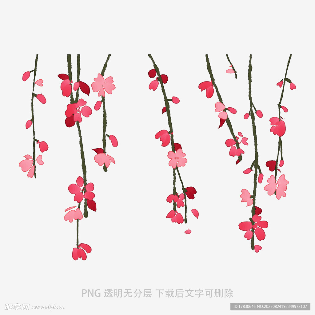 垂枝粉花插画素材