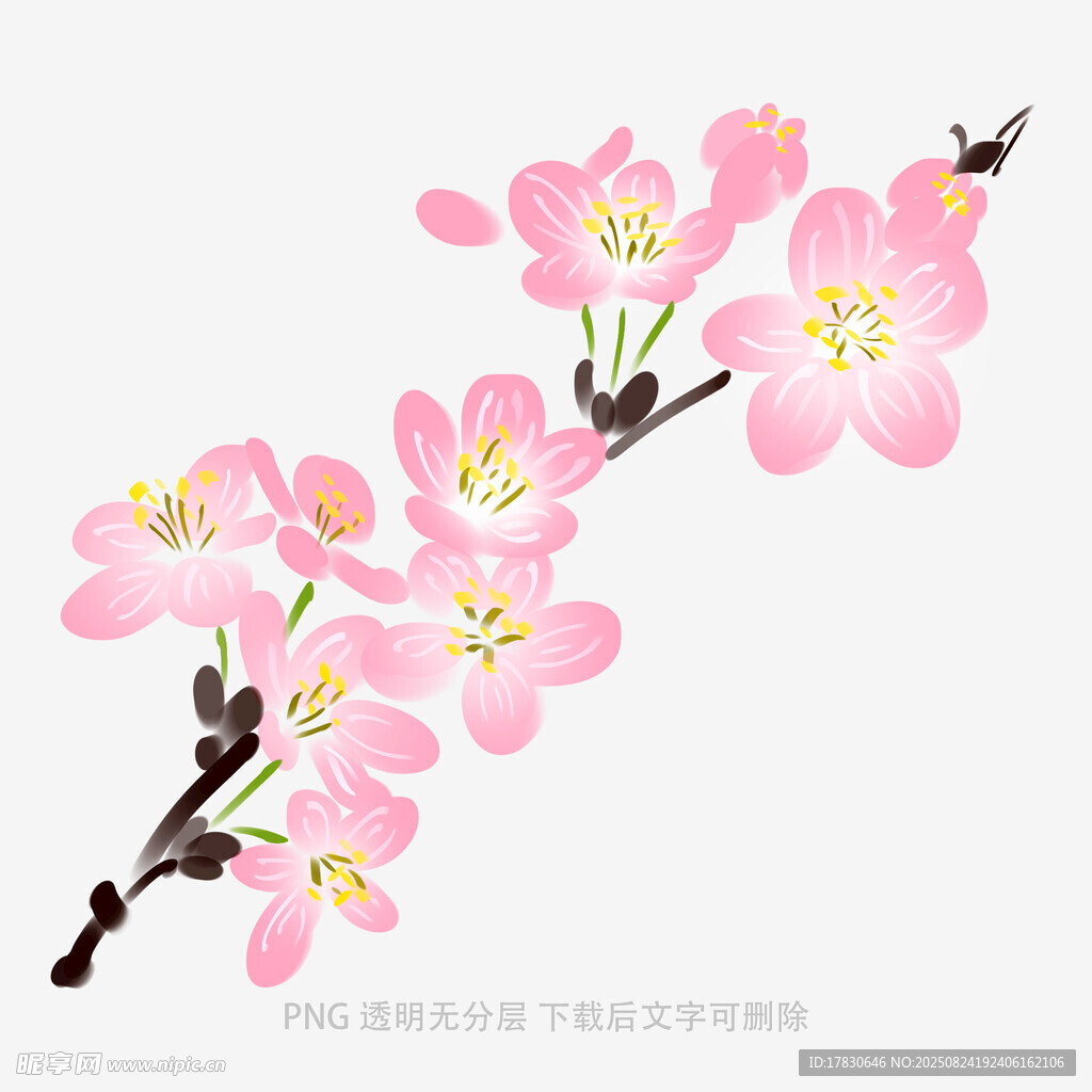 粉色桃花枝插画