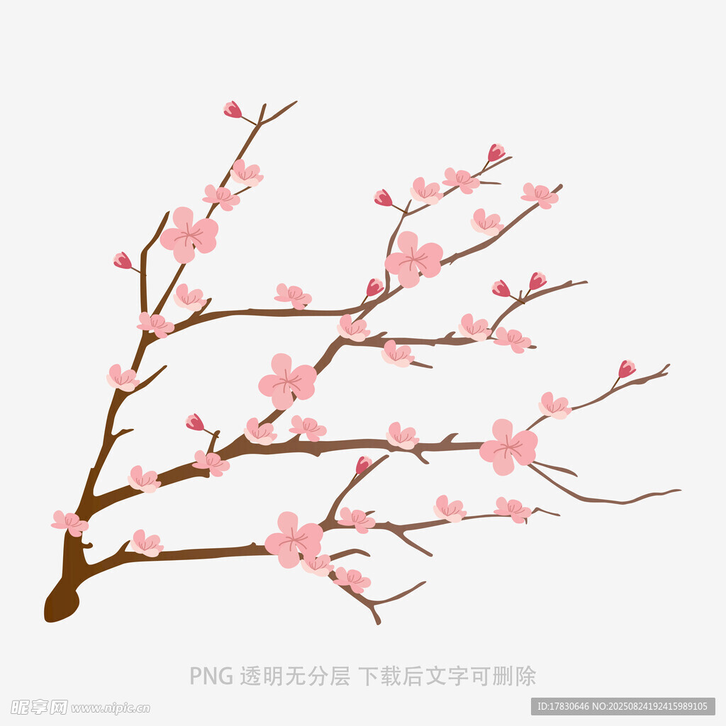 粉色桃花枝插画