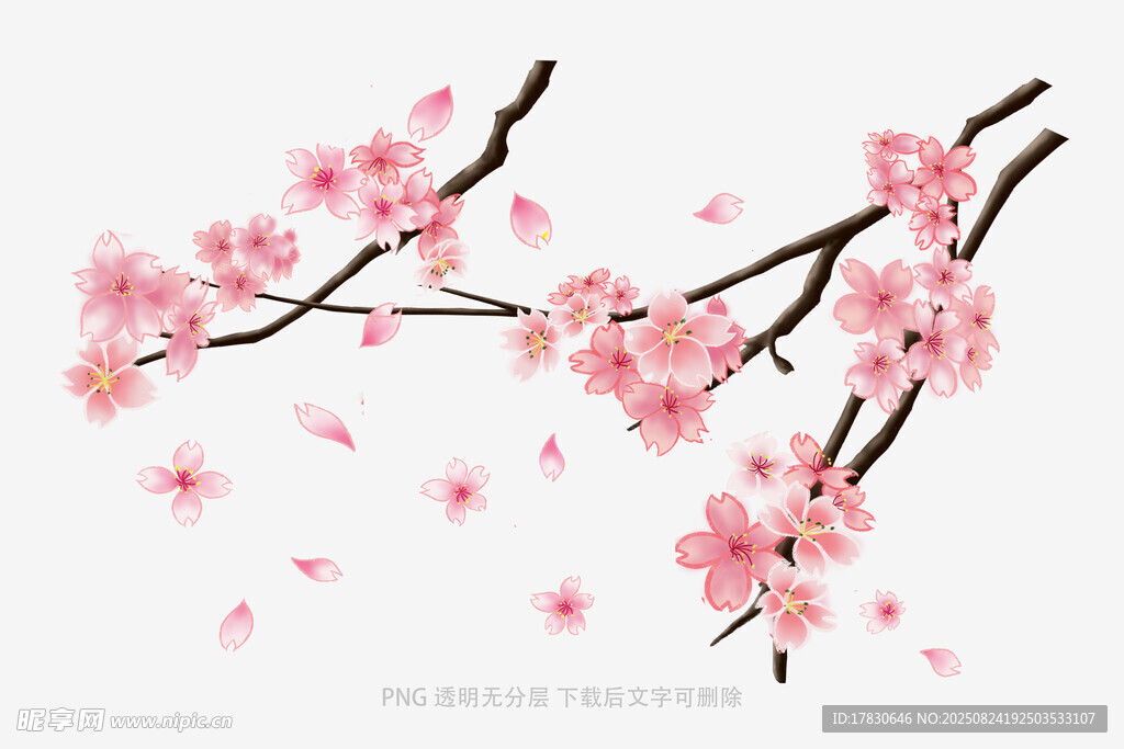 花朵