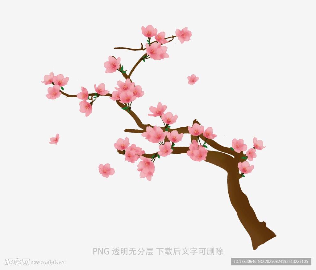 一枝盛开的粉色桃花