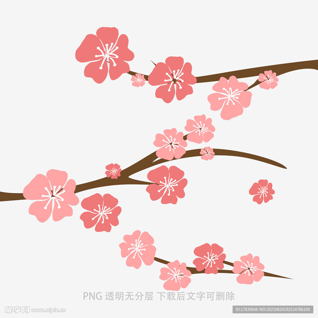 粉色樱花枝插画