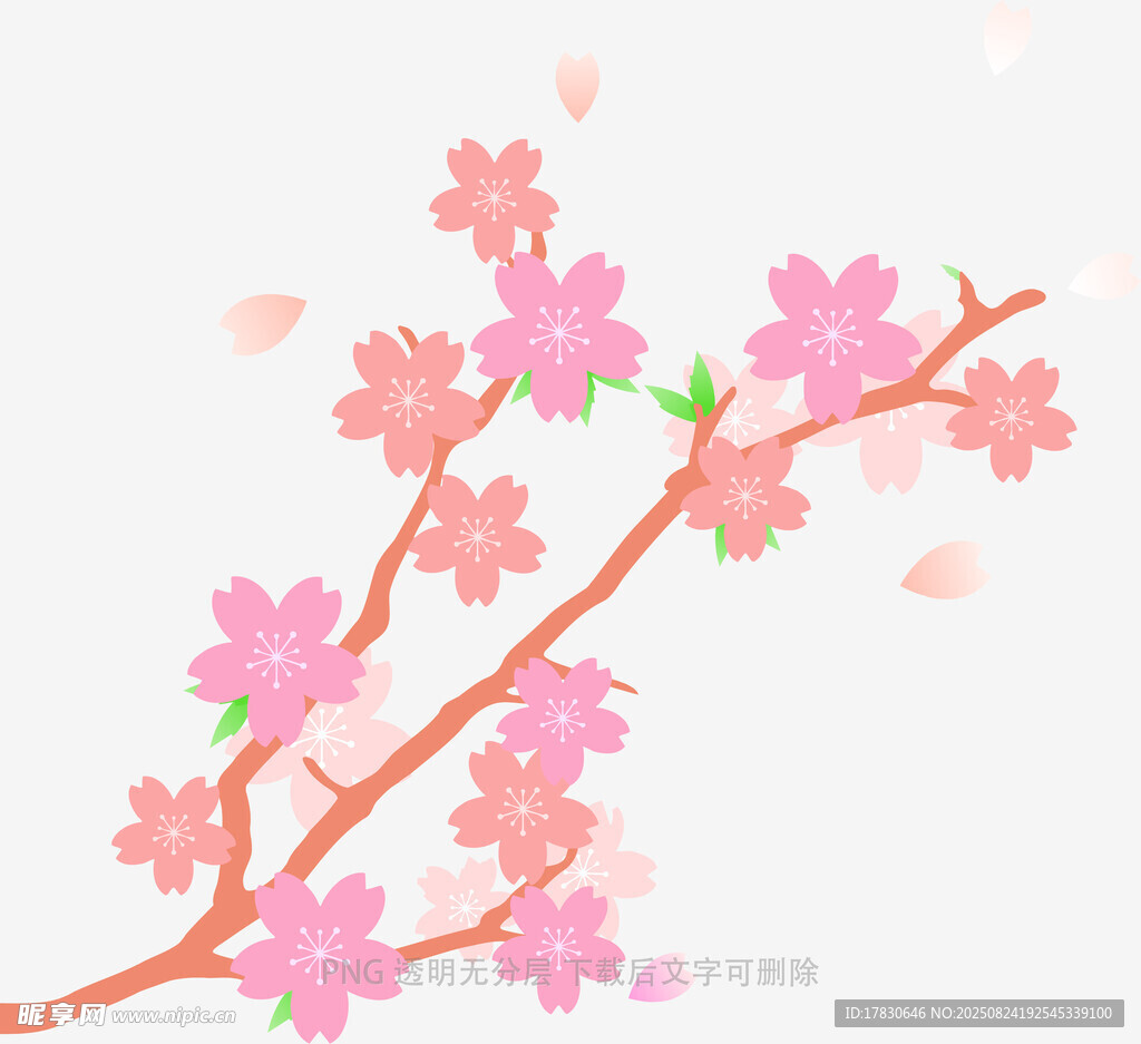 粉色樱花枝插画