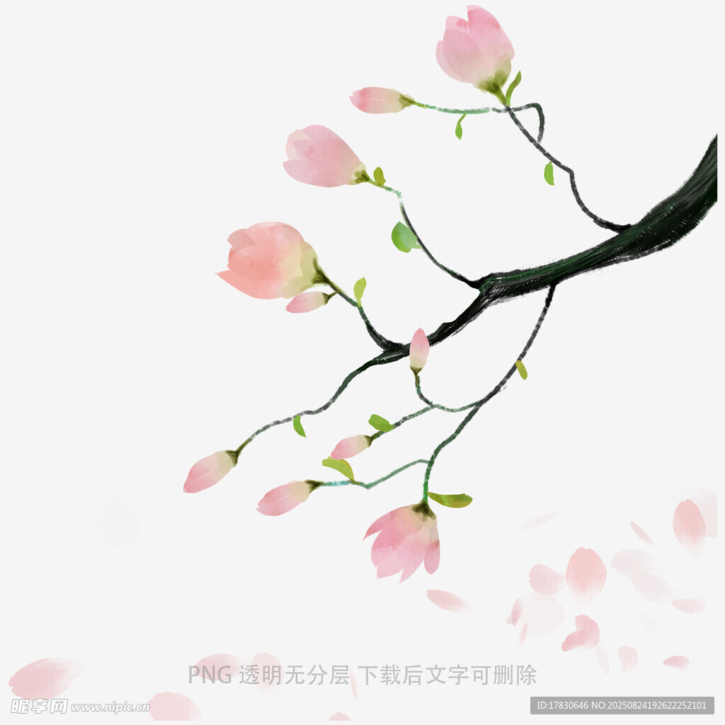 花朵