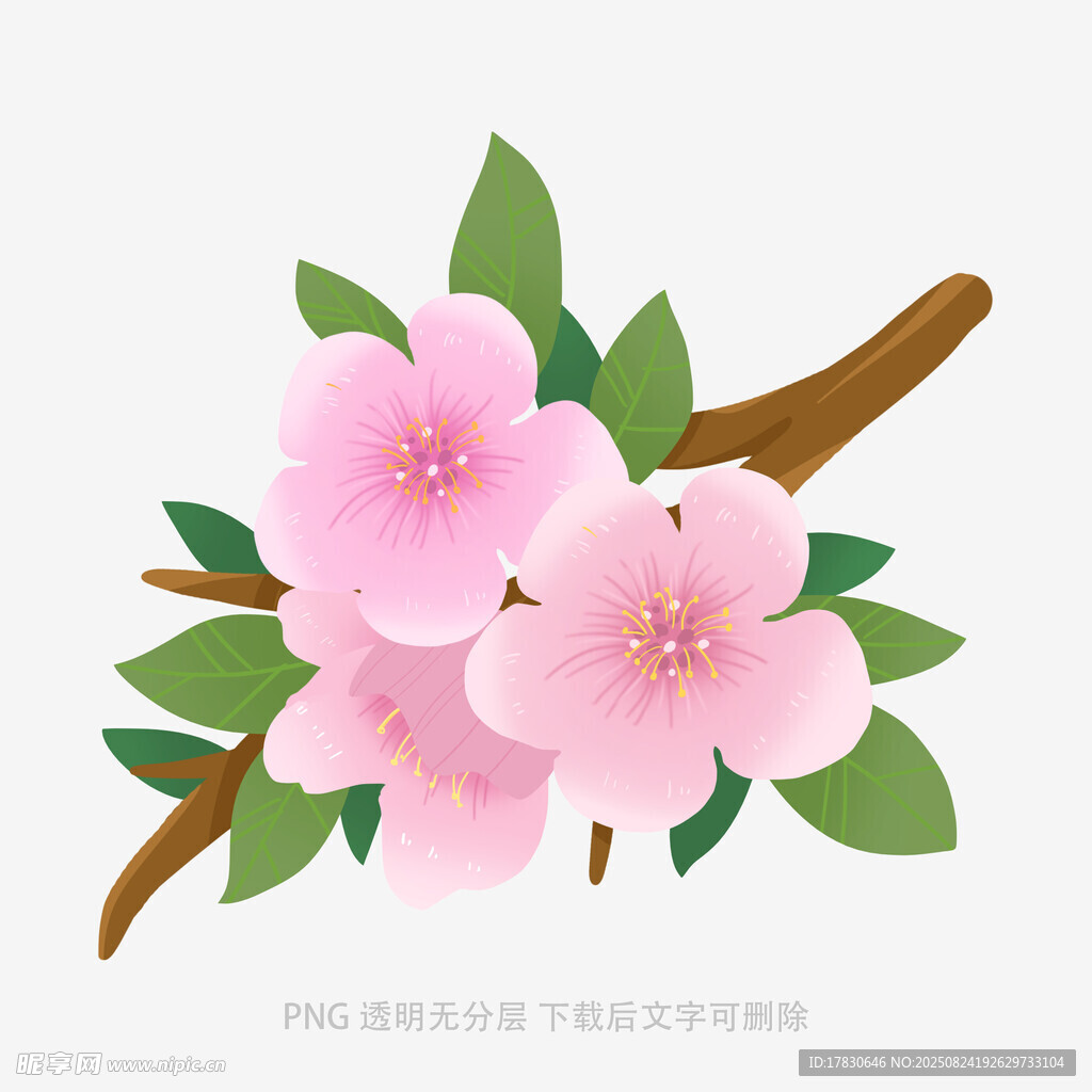 枝头绽放的粉嫩桃花