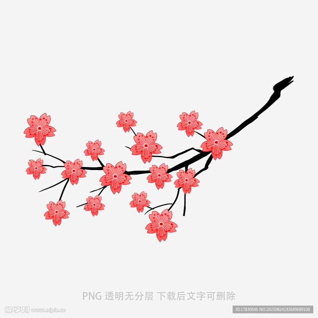 一枝绽放的粉红色梅花