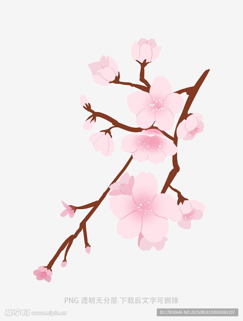 粉色桃花枝